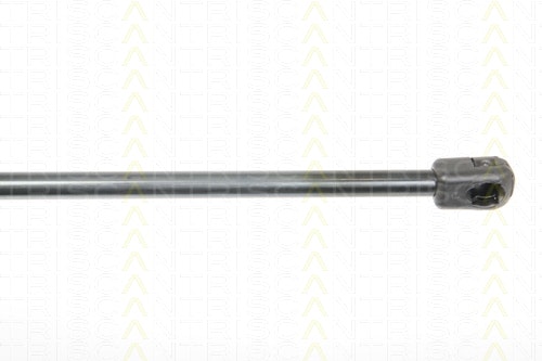 NF PARTS dujinė spyruoklė, bagažinė 871025244NF